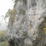 PICT0093 (2)